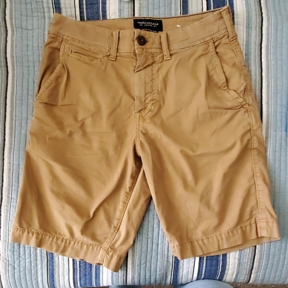 American Eagle Flat Front Shorts